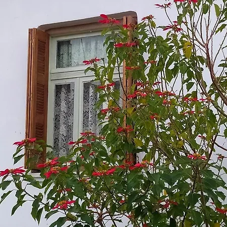 Natura
